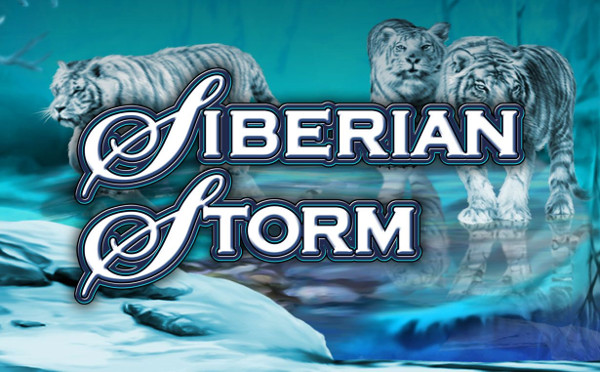 Игровой автомат Siberian Storm - слот с рекордными выплатами Игровой автомат Siberian Storm - слот с рекордными выплатами